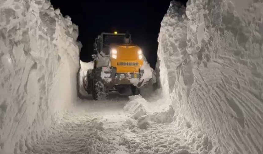 Muş'ta 40 köy yolu kapandı