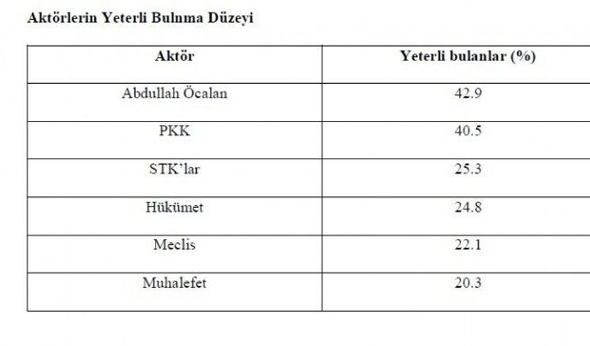 SAMER raporunda Öcalan ve 'umut hakkı' ilk sırada