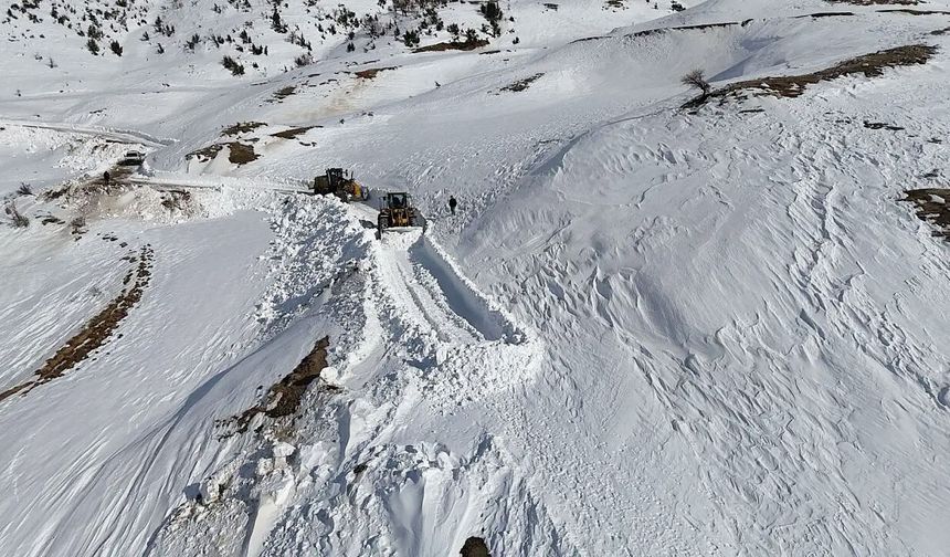 Siirt'te kar yağışı 120 köy yolunu kapattı