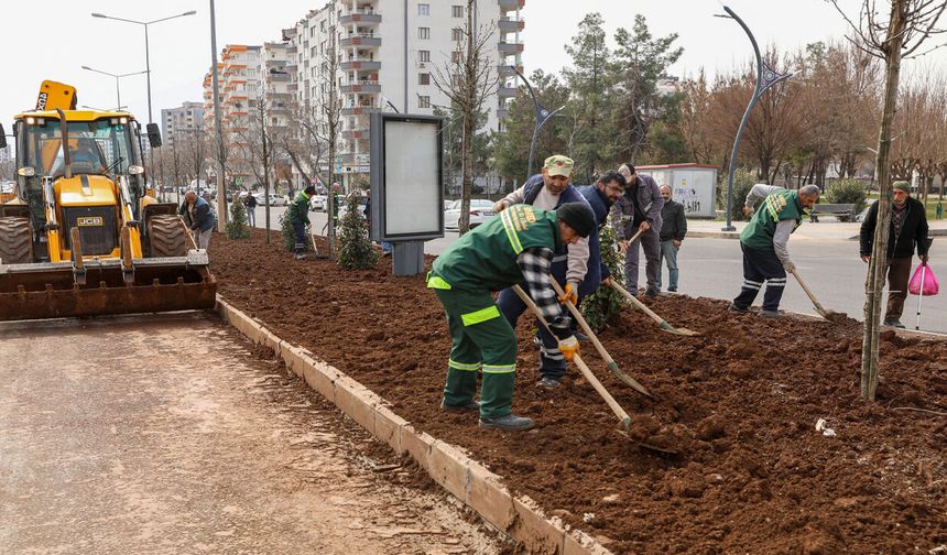 Diyarbakır’da estetik Bahar süslemeleri