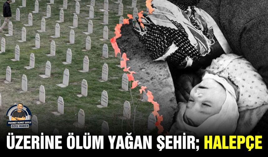 Üzerine ölüm yağan şehir; HALEPÇE