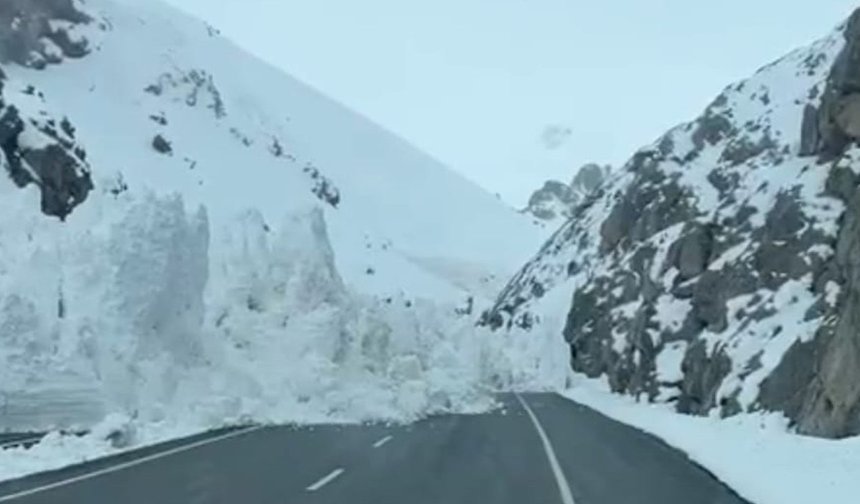 Van-Hakkâri karayoluna çığ düştü