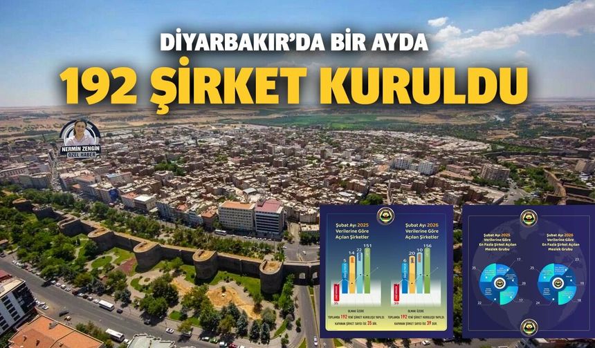 Diyarbakır’da bir ayda 192 şirket kuruldu