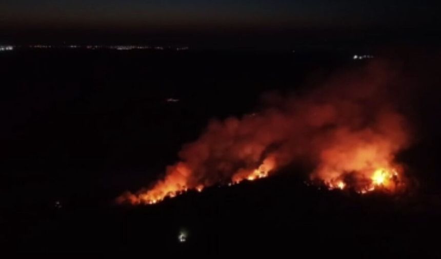 Beykoz'da orman yangını 7 saattir sürüyor