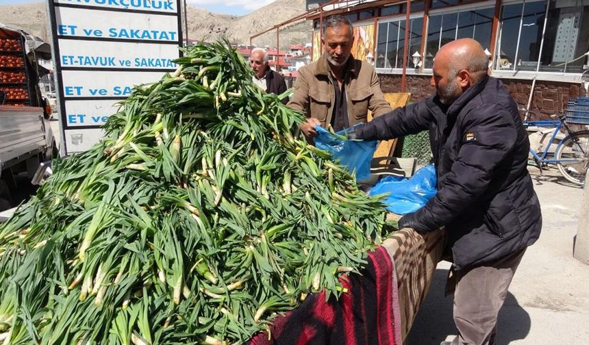 Dağlardan sofralara: çiriş otunun kilosu 100 TL