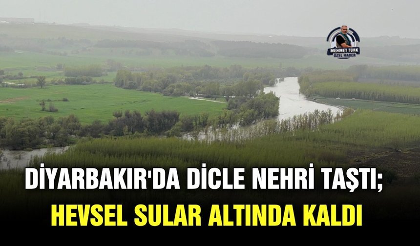 Diyarbakır'da Dicle nehri taştı; Hevsel sular altında kaldı