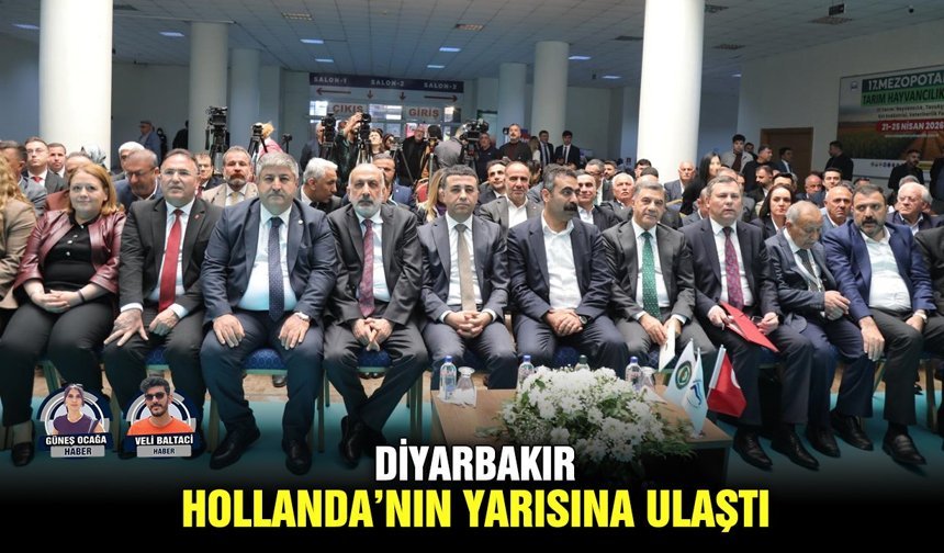 Diyarbakır Hollanda’nın yarısına ulaştı