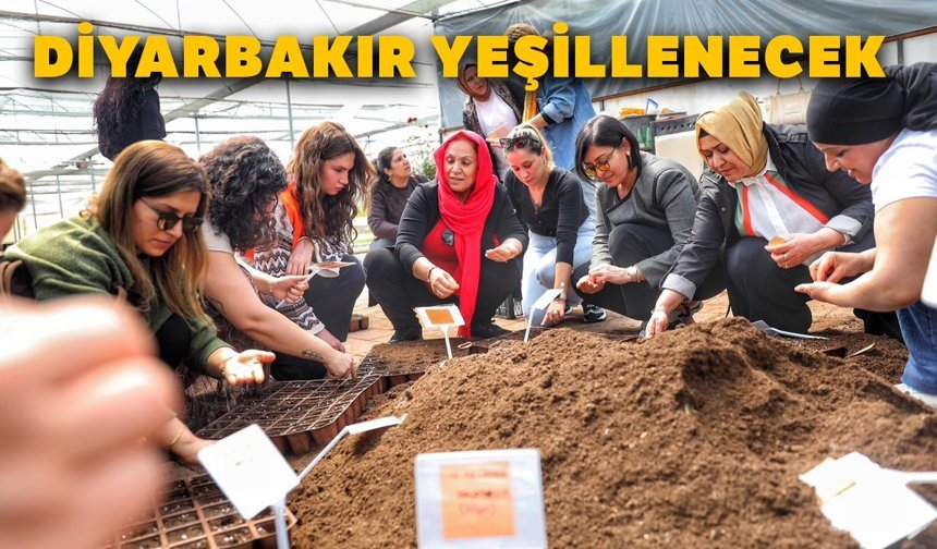 Diyarbakır yeşillenecek