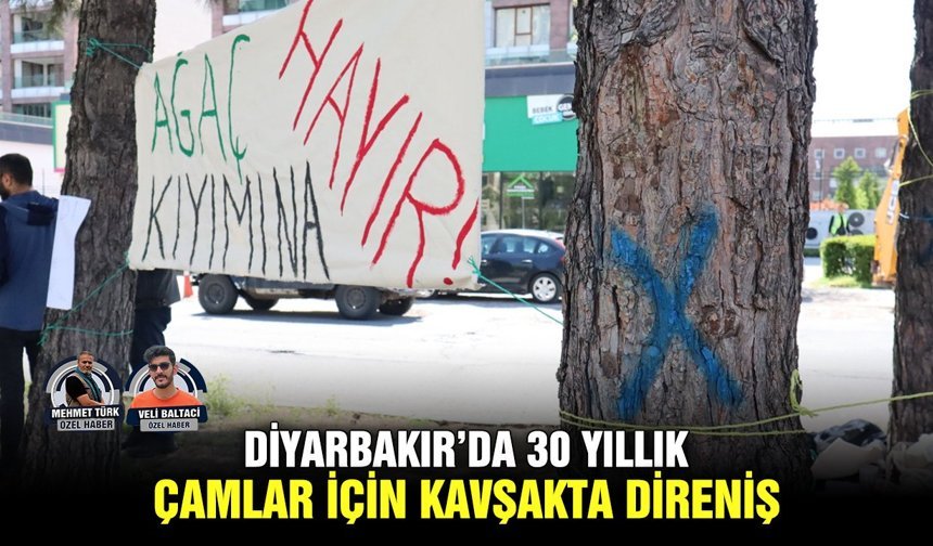 Diyarbakır’da 30 yıllık çamlar için kavşakta direniş