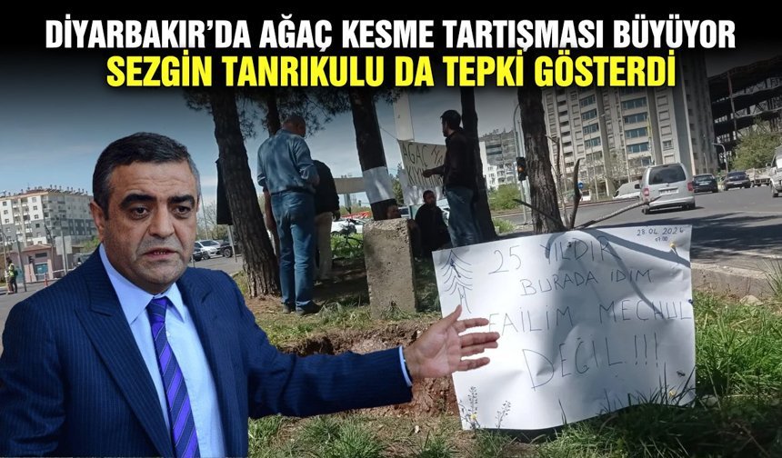 Diyarbakır’da ağaç kesme tartışması büyüyor; Sezgin Tanrıkulu da tepki gösterdi