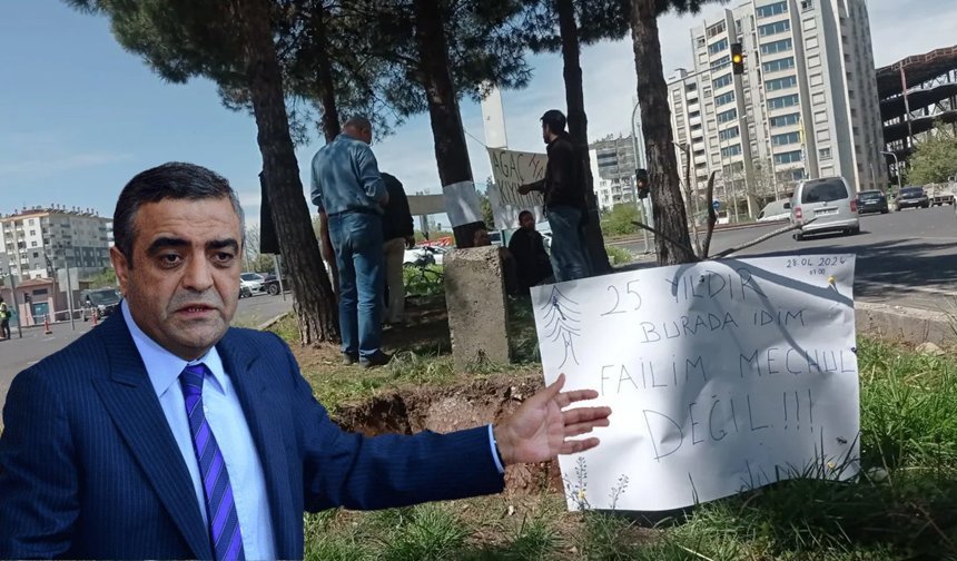 Diyarbakır’da ağaç kesme tartışması büyüyor; Sezgin Tanrıkulu da tepki gösterdi