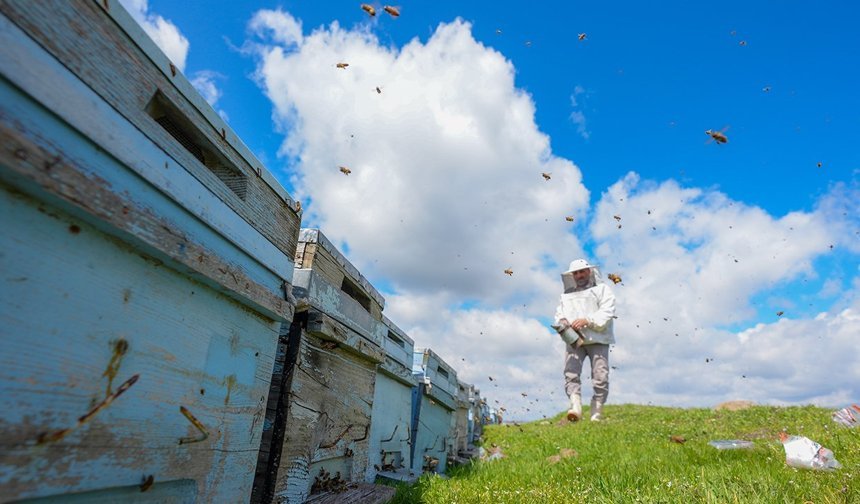 Diyarbakır’da bereketli bal sezonu bekleniyor
