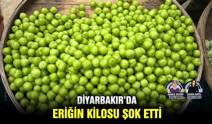 Diyarbakır’da eriğin kilosu şok etti