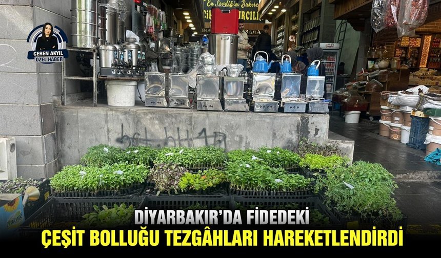 Diyarbakır’da fidedeki çeşit bolluğu tezgâhları hareketlendirdi