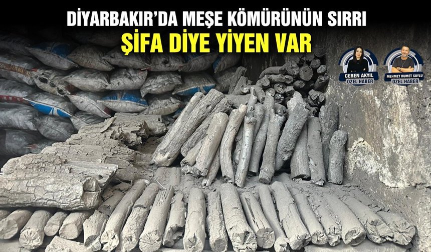 Diyarbakır’da Meşe kömürünün sırrı: Şifa diye yiyen var