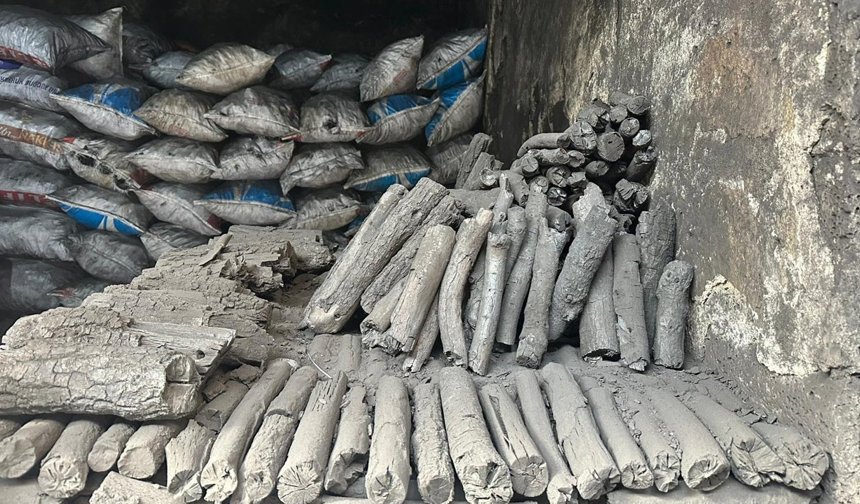 Diyarbakır’da Meşe kömürünün sırrı: Şifa diye yiyen var