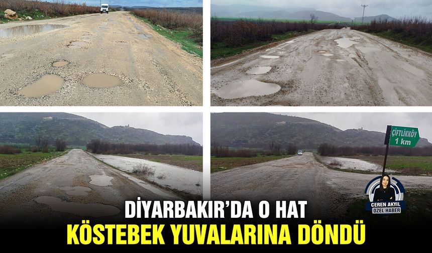 Diyarbakır’da o hat köstebek yuvalarına döndü