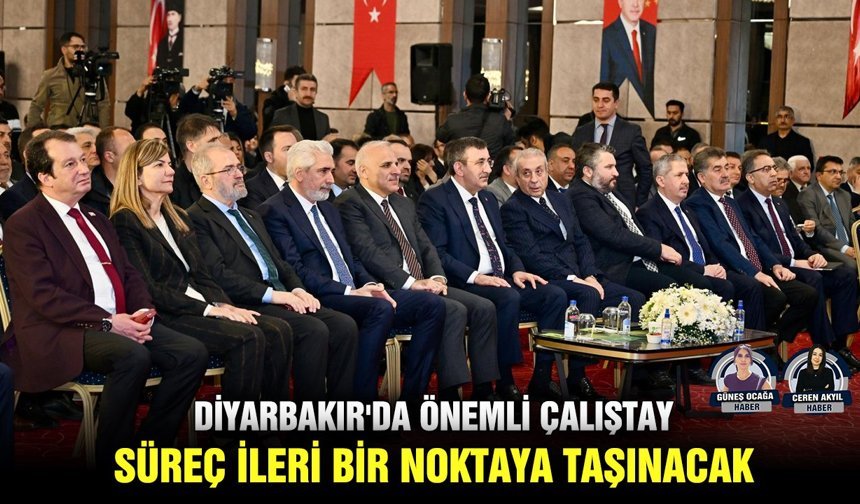 Diyarbakır'da önemli çalıştay:   Süreç ileri bir noktaya taşınacak