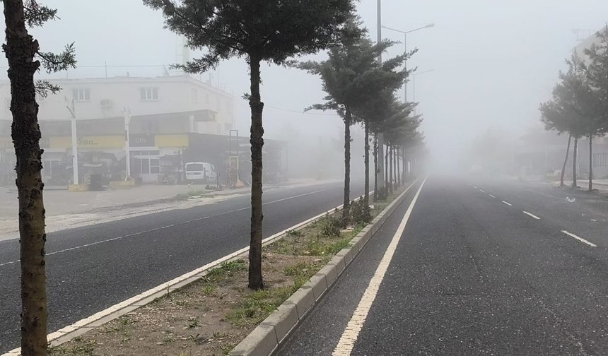 Diyarbakır'da sabah saatlerinde göz gözü görmedi