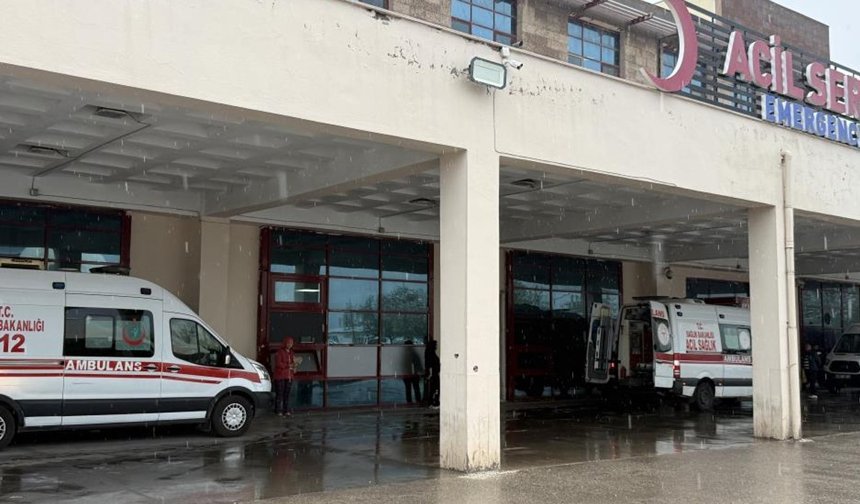 Diyarbakır'da yıldırım çarptı: 2 kuzen hayatını kaybetti