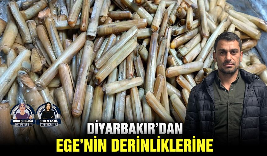Diyarbakır’dan, Ege’nin derinliklerine