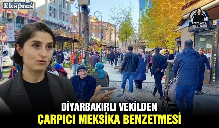 Diyarbakırlı vekilden çarpıcı Meksika benzetmesi