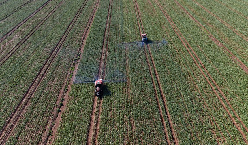 Barak Ovası’nda çiftçilerin mesaisi