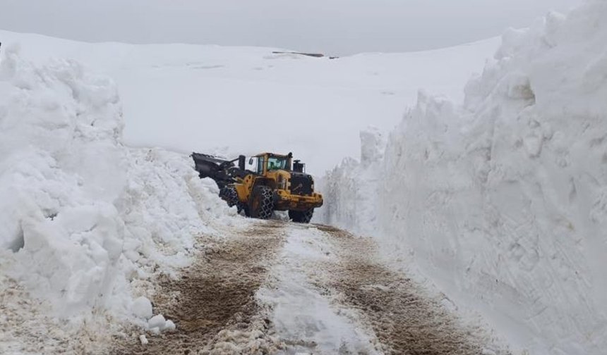 Hakkari'de 46 yerleşim yolu ulaşıma kapandı