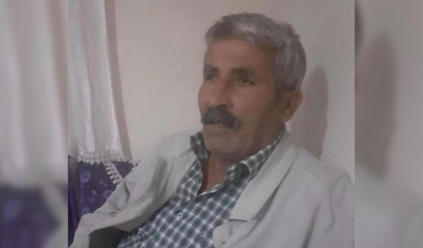 İneğin peşinden gitti, canından oldu