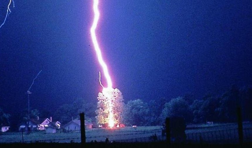 Mardin’de yıldırımın isabet ettiği 8 hayvan telef oldu