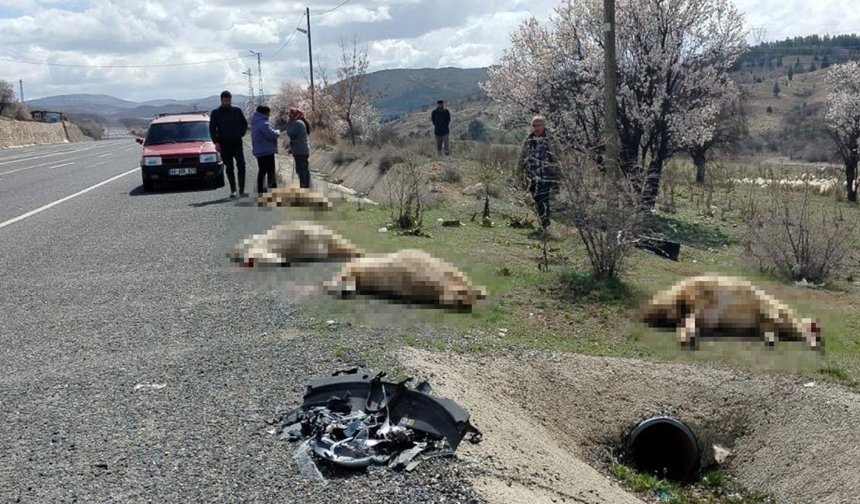 Otomobil koyun sürüsüne daldı