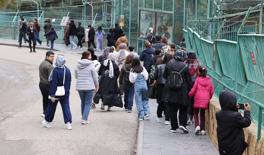 Üç ayda 1.5 milyon kişinin ziyaret ettiği hayvanat bahçesi