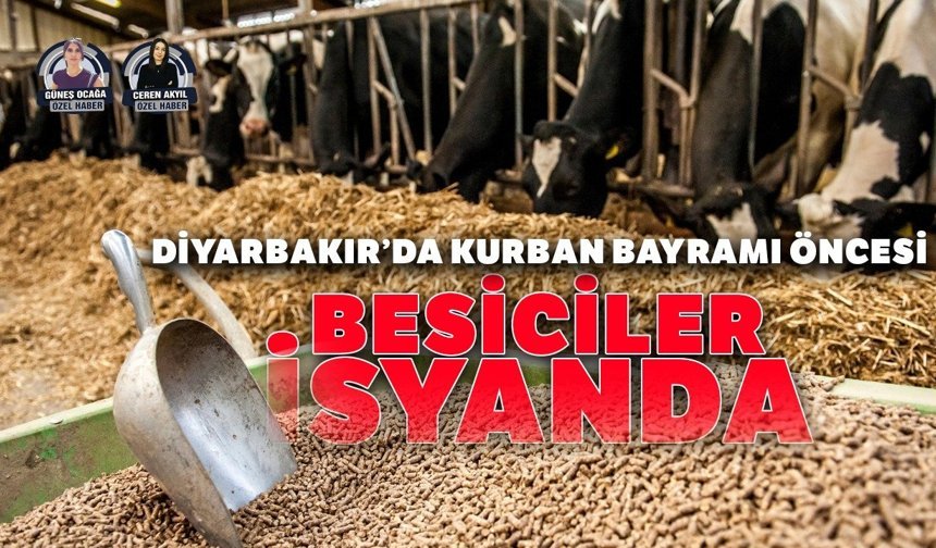 Diyarbakır’da Kurban Bayramı öncesi besiciler isyanda