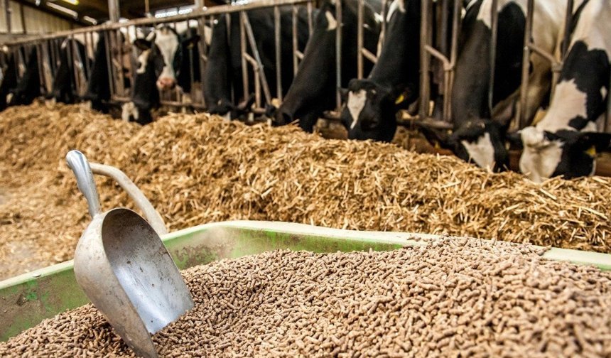 Diyarbakır’da Kurban Bayramı öncesi besiciler isyanda