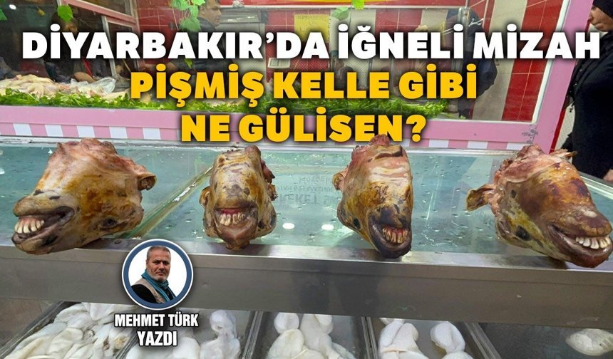 Diyarbakır’da iğneli mizah: Pişmiş kelle gibi ne gülisen?