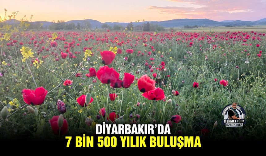 Diyarbakır’da 7 bin 500 yılık buluşma