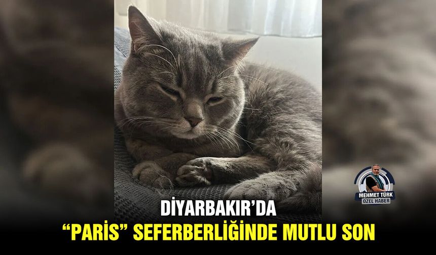 Diyarbakır’da “Paris” Seferberliğinde mutlu son