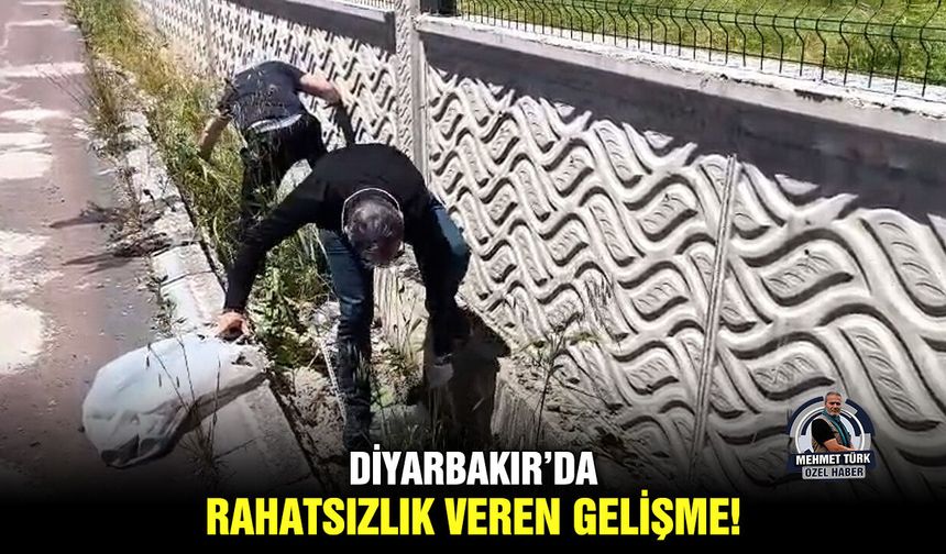 Diyarbakır’da rahatsızlık veren gelişme!