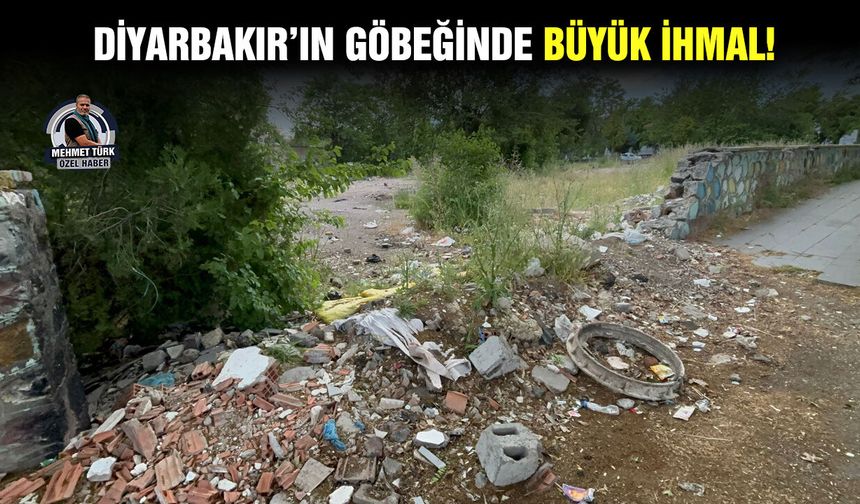 Diyarbakır’ın göbeğinde büyük ihmal!