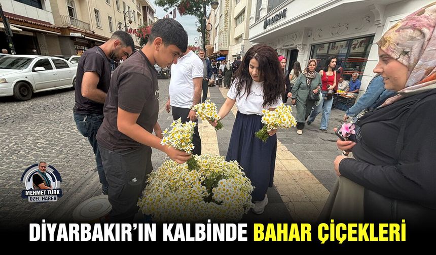 Diyarbakır’ın kalbinde bahar çiçekleri