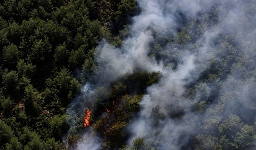 Fethiye’de orman yangını