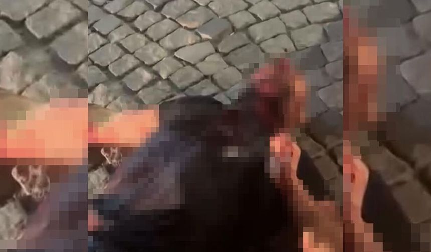 Husumetli olduğu akrabasının boğazını kesip kahvehanenin önüne attı