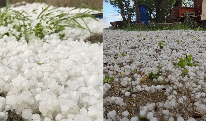Muş’ta dolu yağışı
