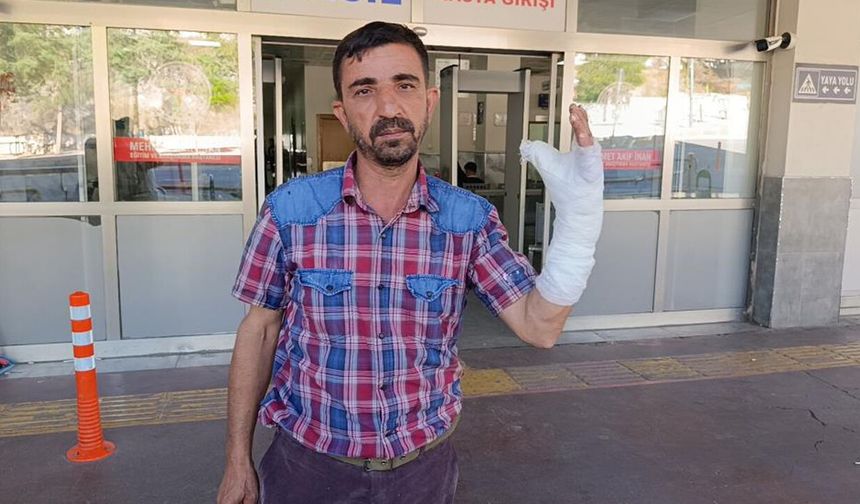Şanlıurfa'da ilk günde 232 acemi kasap hastanelik oldu