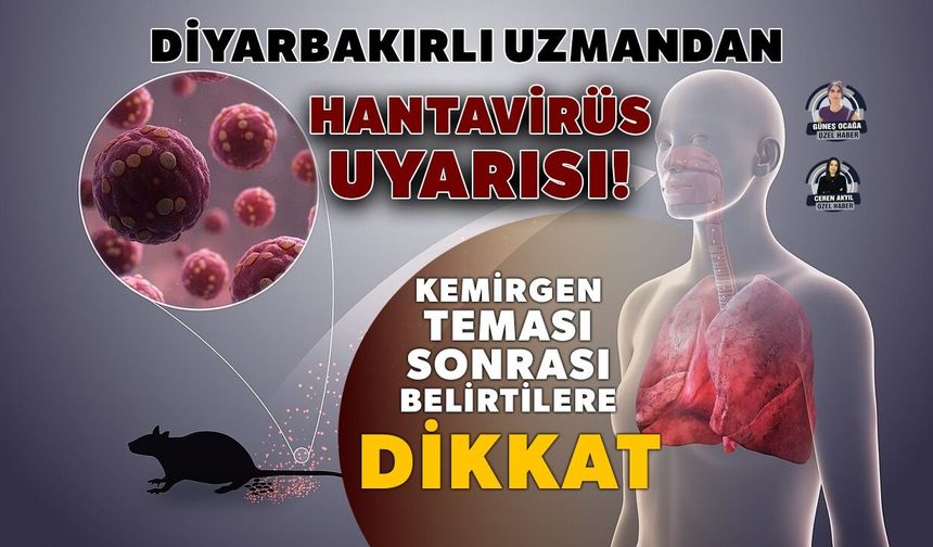 Diyarbakırlı uzmandan hantavirüs uyarısı!