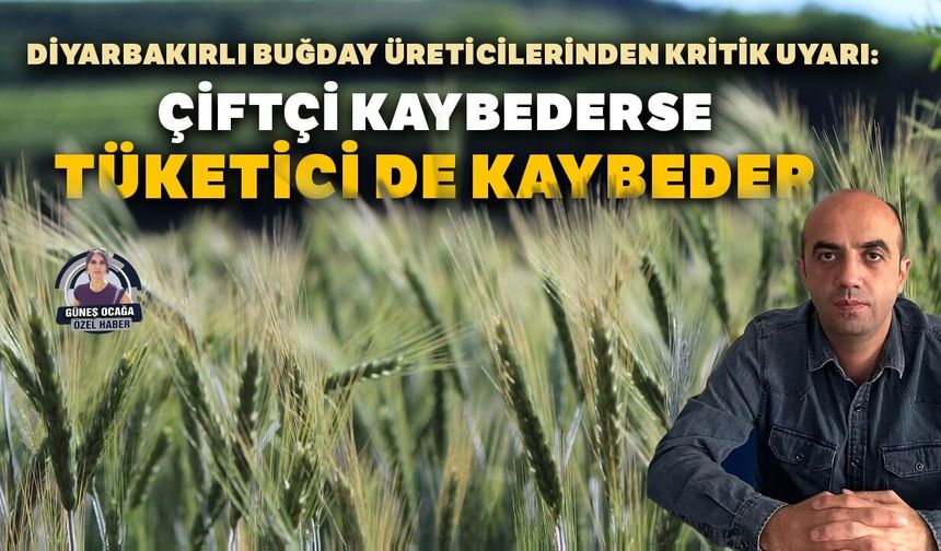 Diyarbakırlı buğday üreticilerinden uyarı:  Çiftçi kaybederse tüketici de kaybeder
