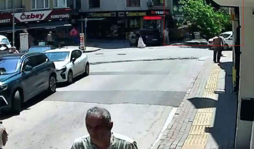 150 yıllık çınar devrildi