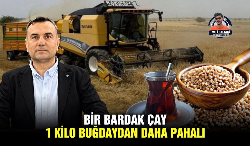 Bir bardak çay, 1 kilo buğdaydan daha pahalı