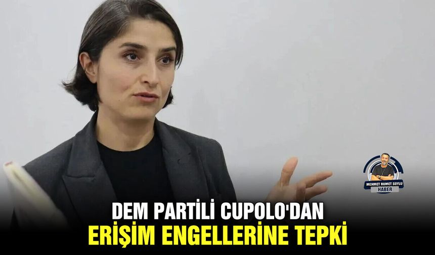 DEM Partili Cupolo'dan erişim engellerine tepki
