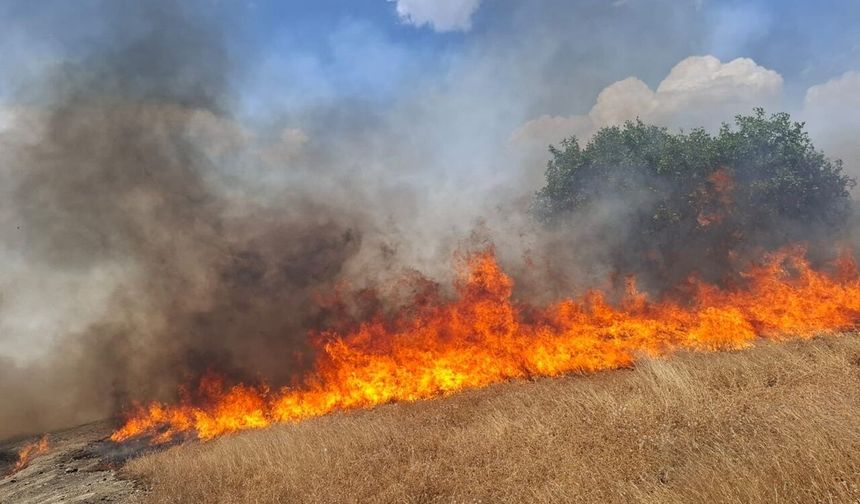 Diyarbakır'da anız ve örtü yangınları